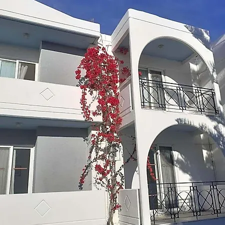 Summer Dream Hotel